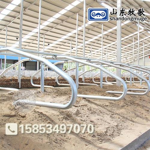 主要從事生產(chǎn)豬場自動(dòng)飼喂系統(tǒng),電熱板保溫箱,豬人工產(chǎn)品目錄 畜牧