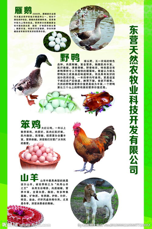 畜牧產品圖片