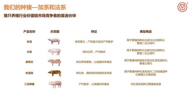 超級畜牧,勇攀“豬”峰-央視精彩展現天兆豬業樓房智能養豬場