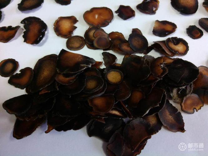 吉林農(nóng)業(yè)大學(xué)雙陽畜牧基地鹿產(chǎn)品:鹿鞭,鹿茸,蠟片