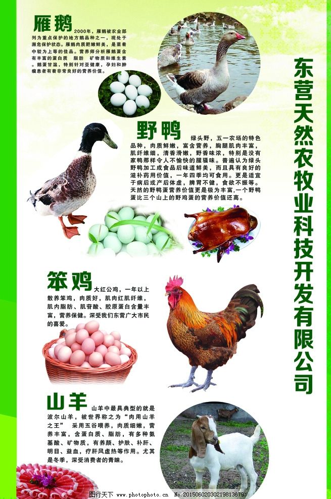 畜牧產品圖片