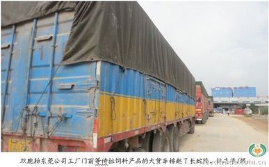 新《條例》實(shí)施為雙胞胎帶來發(fā)展機(jī)遇-中國(guó)飼料行業(yè)信息網(wǎng)-立足飼料,服務(wù)畜牧