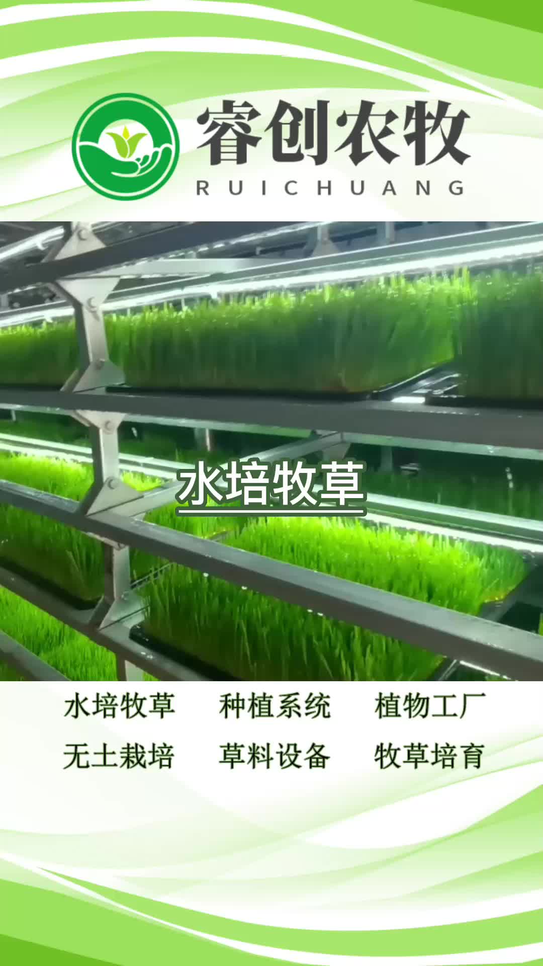 水培牧草工廠,畜牧現代水培牧草設備工廠帶你了解設備產品;.