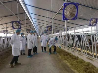 鄂爾多斯市又有一家企業申報有機產品通過現場檢查
