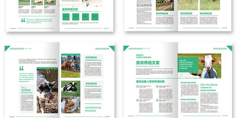 整套新版畜牧養(yǎng)殖產(chǎn)品宣傳冊
