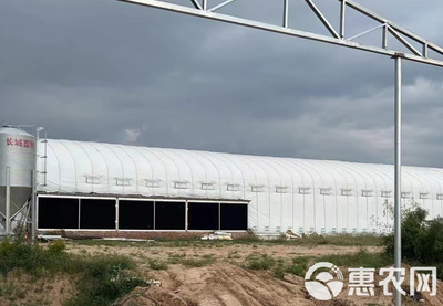 專營大棚管材大棚骨架大棚材料養殖大棚種植大棚連棟棚