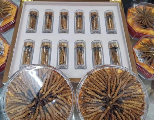 果洛州生態畜牧業產品全面進入上海市場啟動會