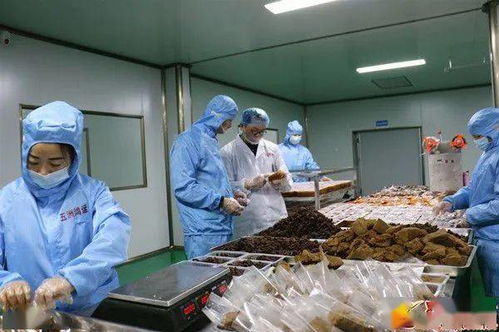 投產不足3個月,產值突破600萬 這家公司是