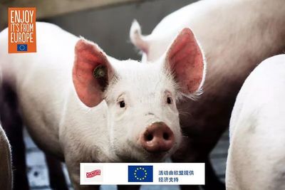 豬肉,中國傳統(tǒng)文化中的至臻佳肴