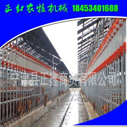 養(yǎng)豬全自動料線 豬場自動化喂料線 正紅養(yǎng)豬設(shè)備大全