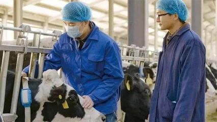 科技公司搶占畜牧業,人工智能到底會不會讓農民下崗?