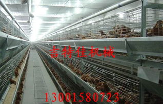 山東省五蓮縣吉特佳畜牧機械廠