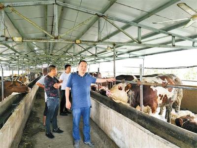 深圳后福百年供應鏈集團董事長、總裁后世榮:長路奉獻給遠方