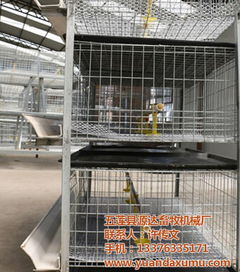 籠,育成籠,蛋雞籠,公雞籠及各種籠具 五蓮縣源達(dá)畜牧機(jī)械廠