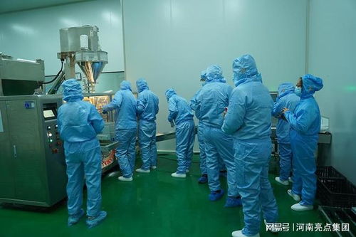 河南亮點集團堅持綠色 無抗經營理念,提供安全 健康畜牧產品