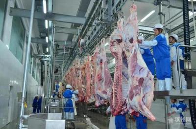 【溫度濱州12197】濱州畜牧產品穩產保供質量合格率保持在98%以上