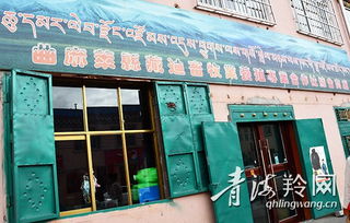 生態畜牧合作社 綠了草原富了牧民