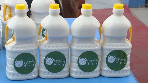 研發新產品 讓傳統奶制品賣得出賣得好