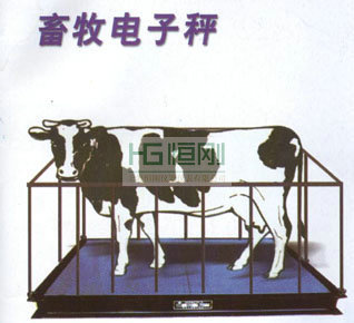 固定式畜牧電子地磅秤-產品報價-上海恒剛儀器儀表